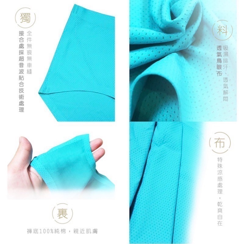 #2909 闆娘推薦 SOFTLIGHT 舒芙蕾內褲 沁涼 無痕內褲 透氣 涼感 中腰 女內褲 女生內褲 內褲-細節圖6