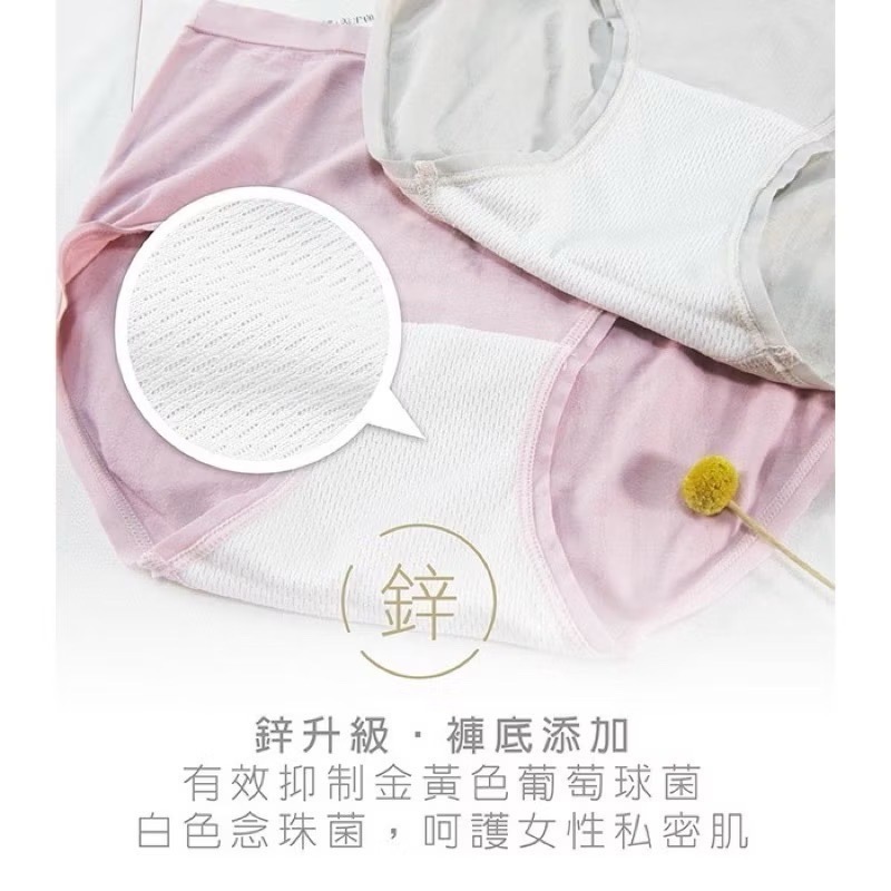 #2182 SOFTLIGHT 舒芙蕾內褲 夏天必備☀️ 鋅離子 抑菌 無縫褲 輕爽 女生內褲 女內褲 內褲-細節圖8