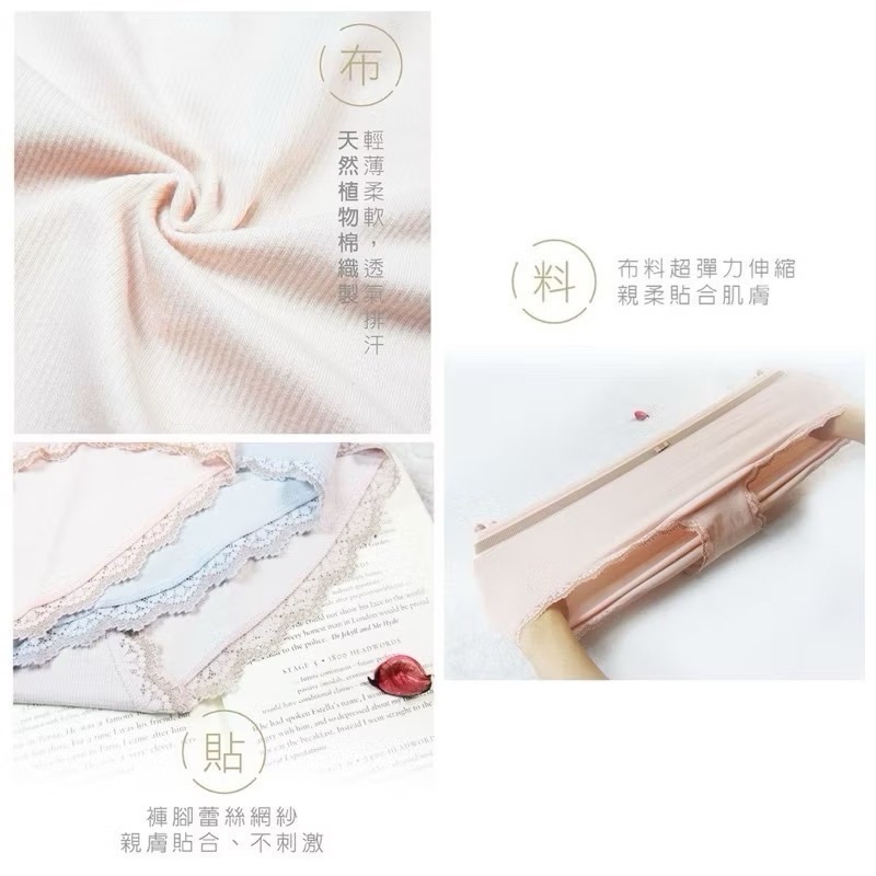 #2165 SOFT LIGHT 舒芙蕾內褲 天然蠶絲 植物棉 貼合提臀 柔軟 大彈力 無縫褲 女生內褲 女內褲 內褲-細節圖7