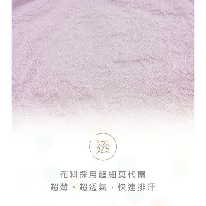 #2238 SOFTLIGHT 舒芙蕾內褲 泡芙美人 莫代爾 天然蠶絲 無縫褲 加大 女內褲 女生內褲 大尺碼內褲 內褲-細節圖6