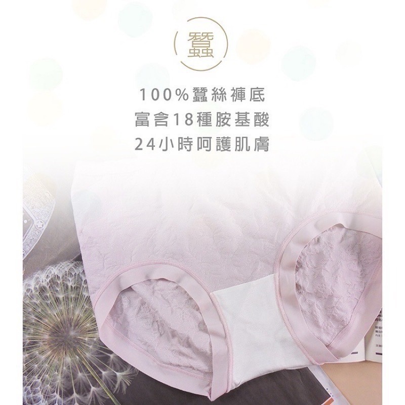 #2238 SOFTLIGHT 舒芙蕾內褲 泡芙美人 莫代爾 天然蠶絲 無縫褲 加大 女內褲 女生內褲 大尺碼內褲 內褲-細節圖5