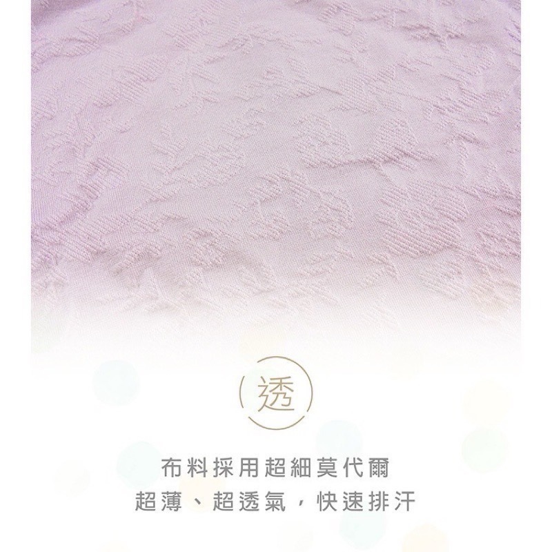 #2238 SOFTLIGHT 舒芙蕾內褲 泡芙美人 莫代爾 天然蠶絲 無縫褲 加大 女內褲 女生內褲 大尺碼內褲 內褲-細節圖6