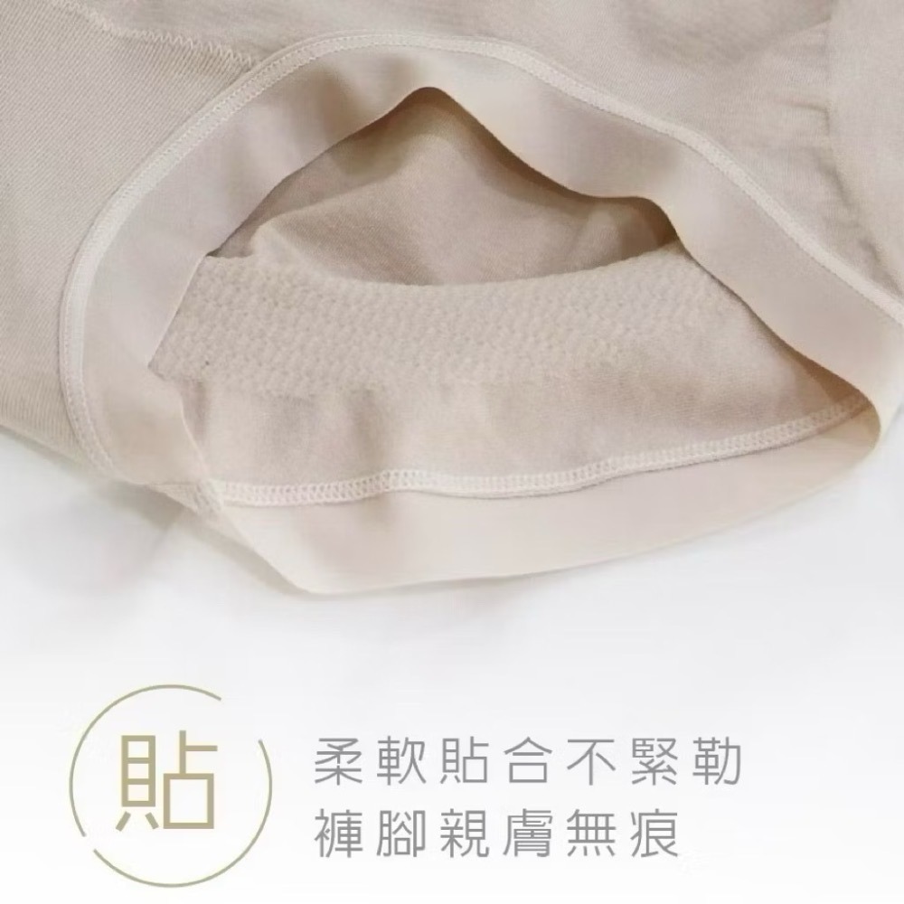 #2401 SOFTLIGHT 舒芙蕾內褲 遠紅外線 無縫 無縫褲 棉 輕薄 服貼 中腰 女生內褲 內褲-細節圖7