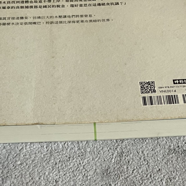 哲美系_《謊言 韓國世越號沉船事件潛水員的告白》金琸桓 著 胡椒筒 譯 時報出版-細節圖9