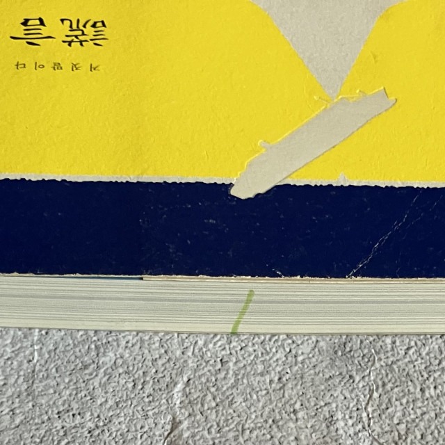 哲美系_《謊言 韓國世越號沉船事件潛水員的告白》金琸桓 著 胡椒筒 譯 時報出版-細節圖3