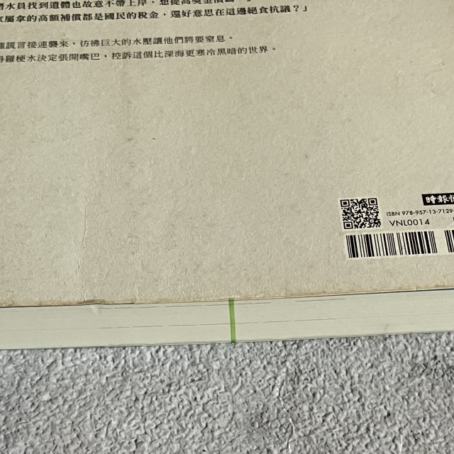 哲美系_《謊言 韓國世越號沉船事件潛水員的告白》金琸桓 著 胡椒筒 譯 時報出版-細節圖9