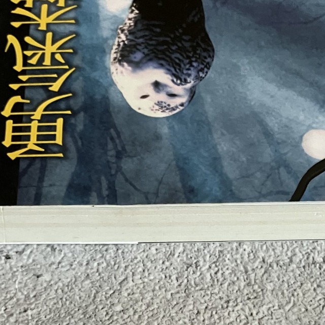 哲美系_《勇氣森林》克利夫·伍道爾 著 洪士美 譯 圓神出版-細節圖4