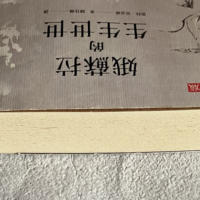 哲美系_《娥蘇拉的生生世世》凱特·亞金森 著 陳佳琳 譯 高寶國際-細節圖3