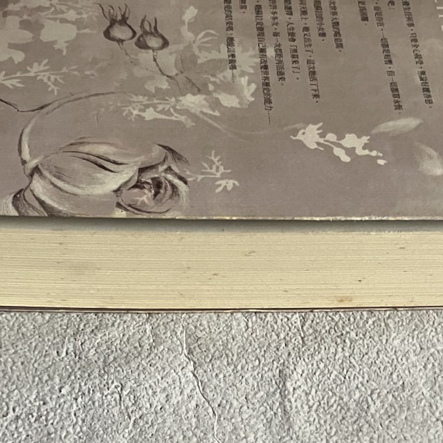 哲美系_《娥蘇拉的生生世世》凱特·亞金森 著 陳佳琳 譯 高寶國際-細節圖4