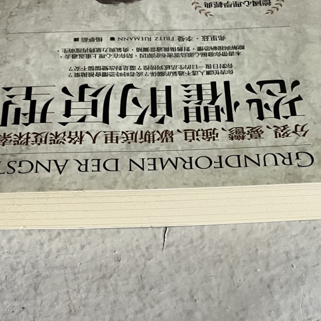 哲美系_《恐懼的原型: 分裂、憂鬱、強迫、歇斯底里人格深度探索》弗里茲．李曼 著 楊夢茹 譯 商周出版-細節圖3