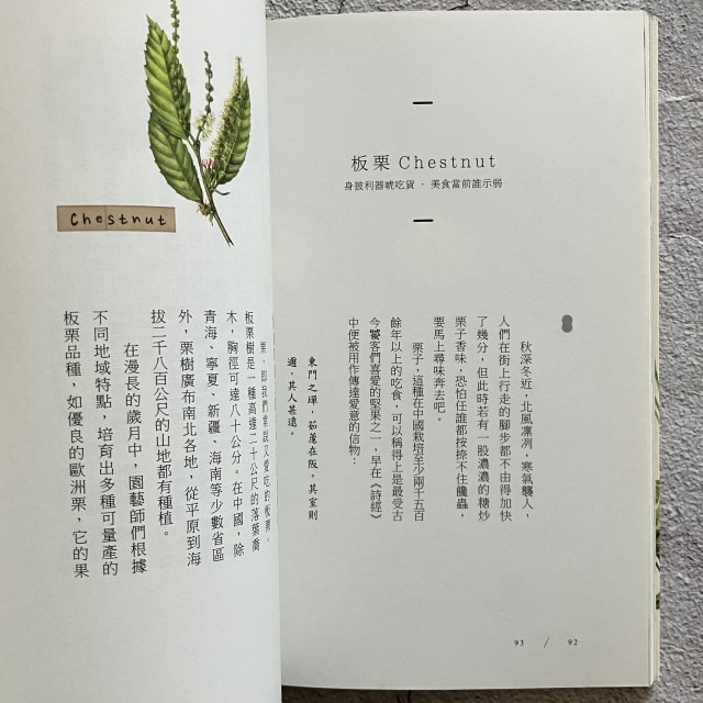 哲美系_《吃出堅果的學問》陳瑩婷 著 張逸、韓蘇妮 繪 時報出版-細節圖5