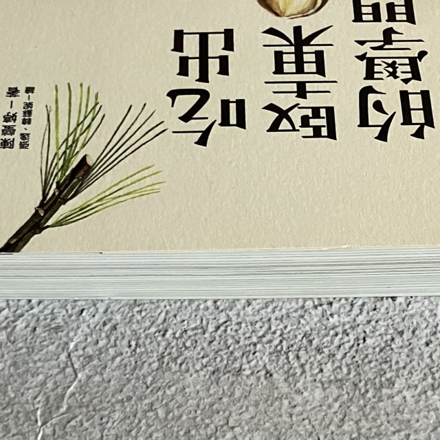 哲美系_《吃出堅果的學問》陳瑩婷 著 張逸、韓蘇妮 繪 時報出版-細節圖3