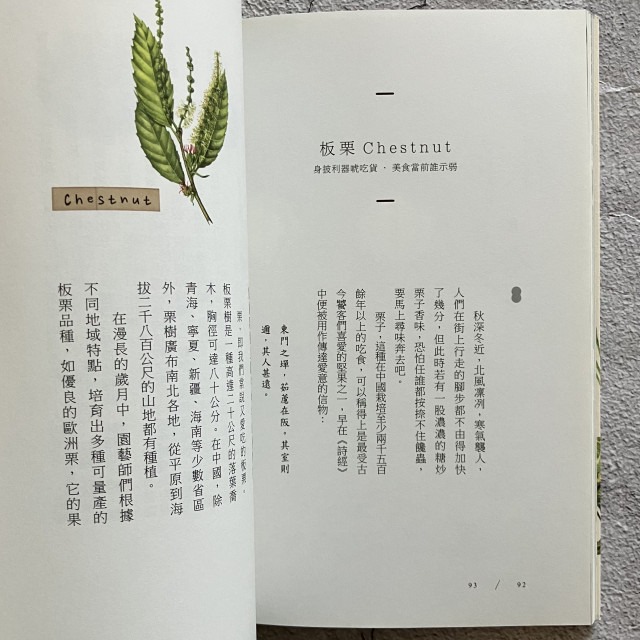 哲美系_《吃出堅果的學問》陳瑩婷 著 張逸、韓蘇妮 繪 時報出版-細節圖5