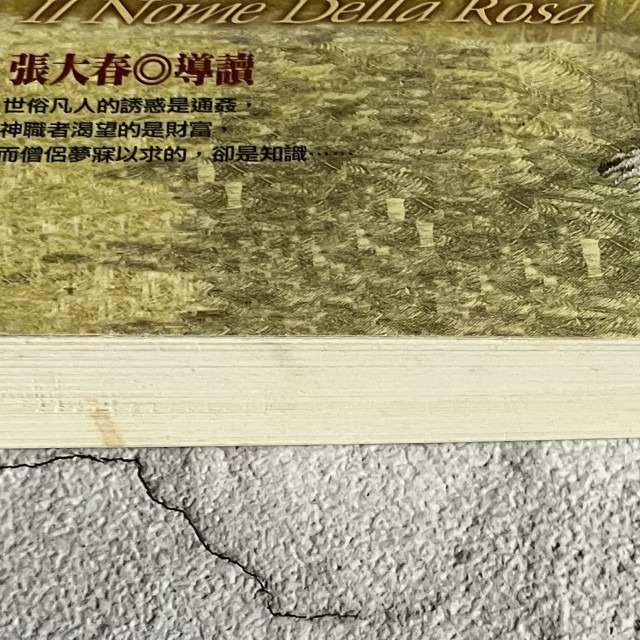 哲美系_《玫瑰的名字》安伯托·艾可 著 謝瑤玲 譯 張大春 導讀 皇冠文化-細節圖5