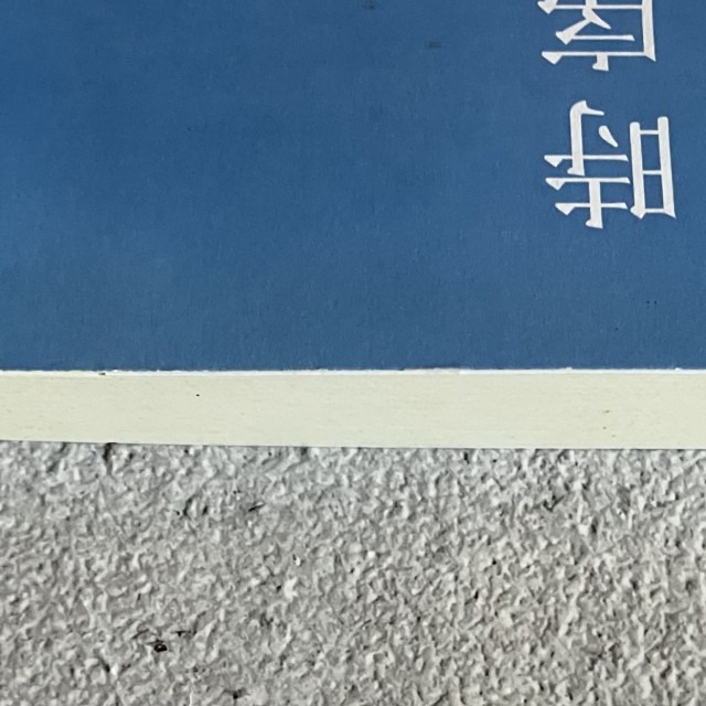 哲美系_《時序在遠方: 林餘佐詩集》林餘佐 著 二魚文化-細節圖4