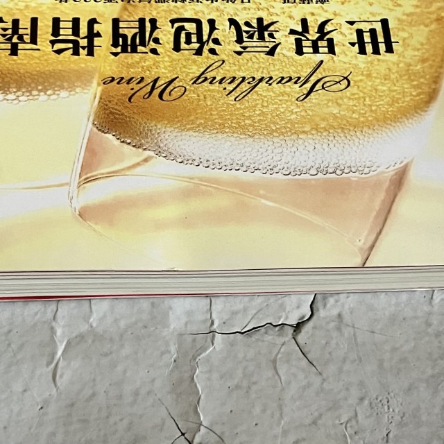 哲美系_《世界氣泡酒指南：齊藤研一品飲生涯精選氣泡酒232款》齊藤研一 著 積木文化-細節圖3
