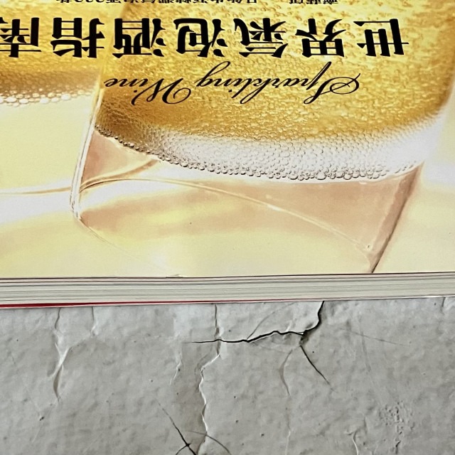 哲美系_《世界氣泡酒指南：齊藤研一品飲生涯精選氣泡酒232款》齊藤研一 著 積木文化-細節圖3