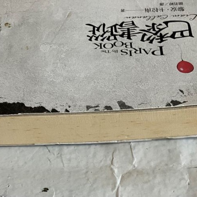 哲美系_《巴黎書蹤》黎安·卡拉南 著 聞若婷 譯 馬可孛羅文化-細節圖3