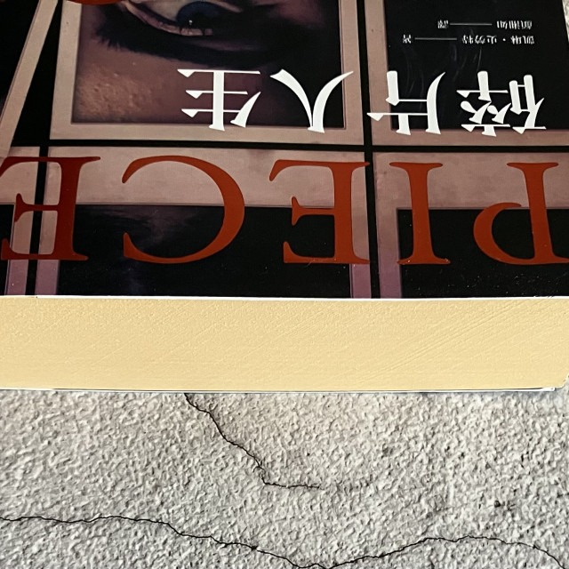 哲美系_《碎片人生》凱林·史勞特 著 顏湘如 譯 春天出版-細節圖3