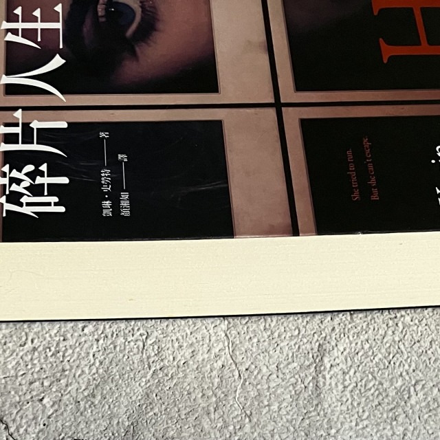 哲美系_《碎片人生》凱林·史勞特 著 顏湘如 譯 春天出版-細節圖4