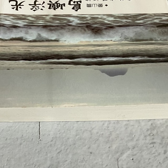 哲美系_《島嶼浮光 我的庶民記憶》晏山農 著 允晨文化-細節圖3