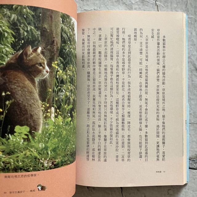哲美系_《虎地貓 尋找一個貓的國度》劉克襄 著 遠流出版-細節圖5