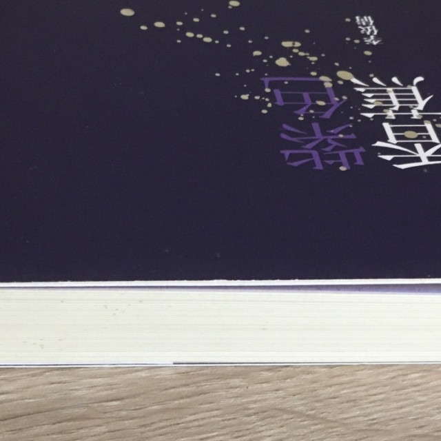 哲美系_長篇小說《紫色香蕉花》李依倩 著 台灣社會文化問題的大包裹 印刻出版-細節圖2