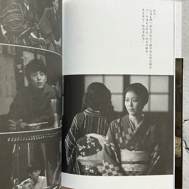 哲美系_《維榮之妻》太宰治 著 鄭美滿 譯 新雨出版 電影 維榮之妻－櫻桃與蒲公英 原著-細節圖3