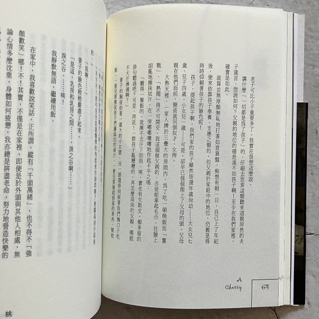哲美系_《維榮之妻》太宰治 著 鄭美滿 譯 新雨出版 電影 維榮之妻－櫻桃與蒲公英 原著-細節圖5