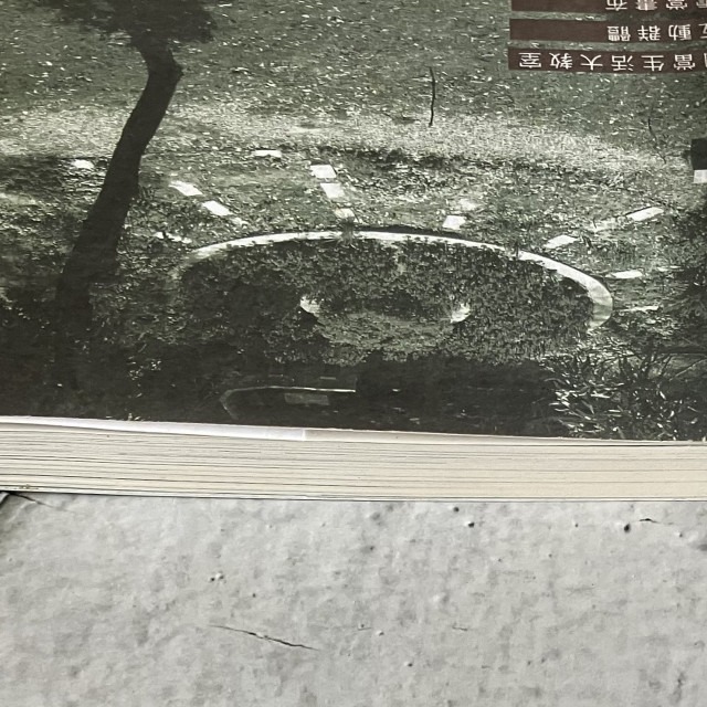 哲美系_《創意校園與公共藝術 校園生活互動空間模式的營造經驗》胡寶林 著 六合出版社-細節圖3