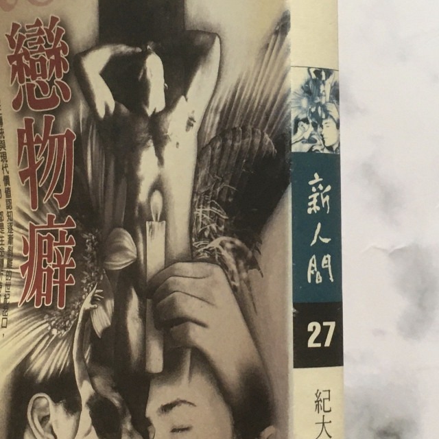 哲美系_《戀物癖》紀大偉 著 時報出版-細節圖2