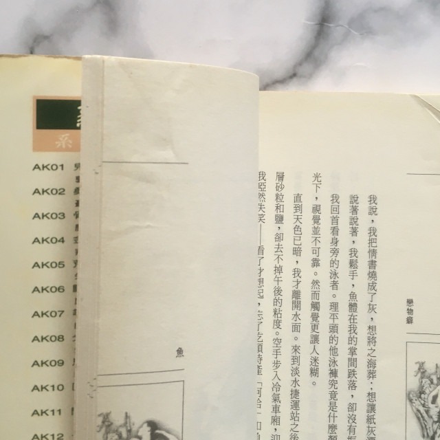 哲美系_《戀物癖》紀大偉 著 時報出版-細節圖7