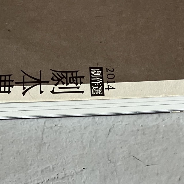 哲美系_《2014劇作選 劇本農場II》阮劇團 出品 遠景出版-細節圖3