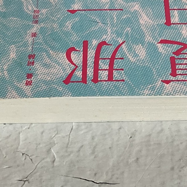 哲美系_《那一年的夏日池畔》荷曼·柯赫 著 劉泗翰 譯 皇冠文化-細節圖3