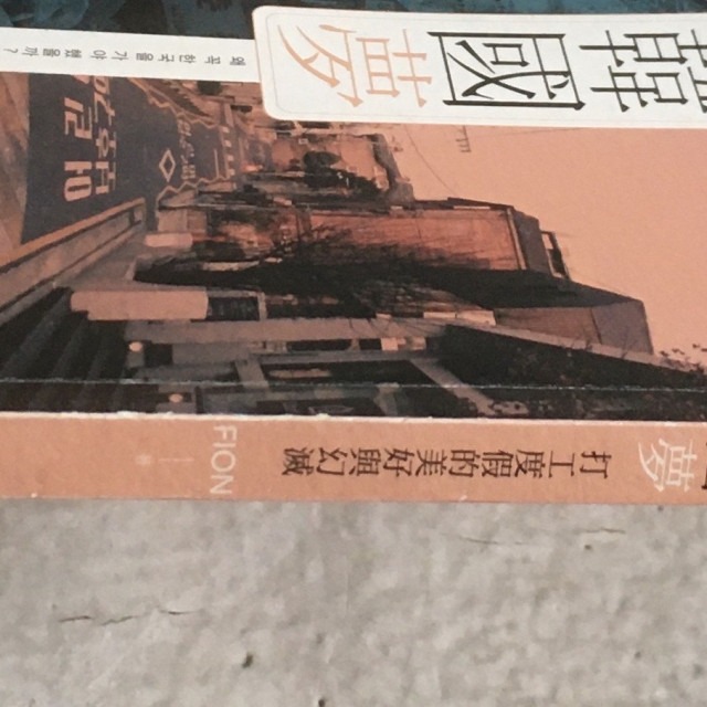 哲美系_《她們的韓國夢》打工度假的美好與幻滅 FION 著 時報出版-細節圖2