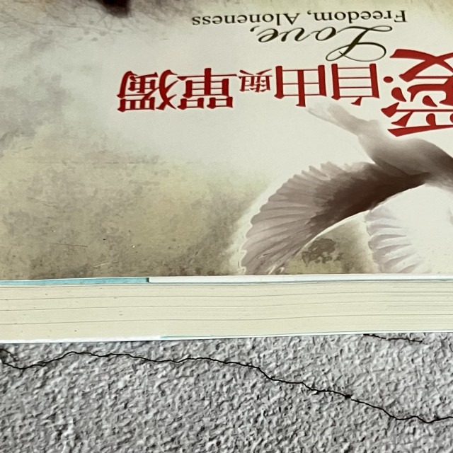 哲美系_《愛·自由與單獨》OSHO奧修 著 黃瓊瑩 譯 生命潛能文化-細節圖3