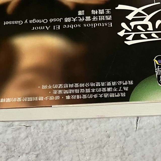 哲美系_《愛》西班牙當代大師 Jose Ortega y Gasset 著 王貴梅 譯 究竟出版 奧特加．加塞特-細節圖3
