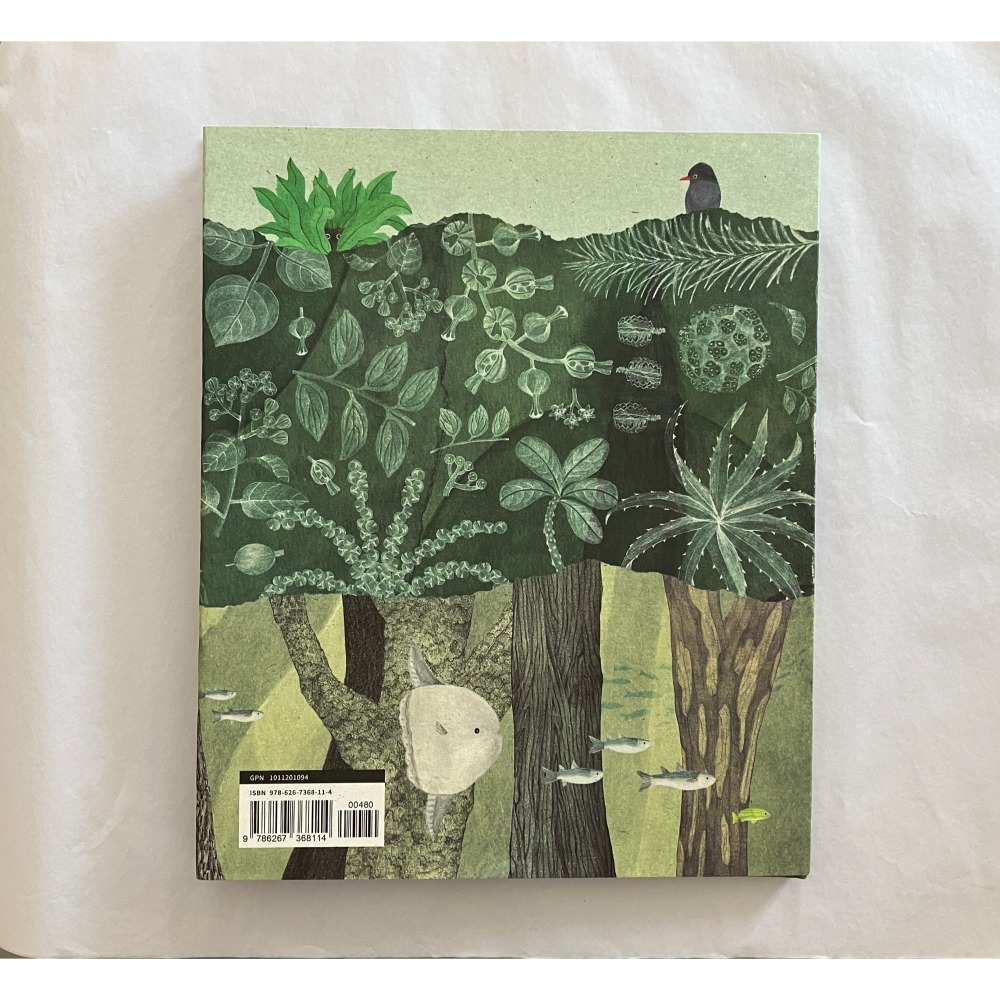 哲美系_系母作品 全新繪本《樹上的魚《Lokot 鳥巢蕨》》[三版/精裝] 桂春∙米雅 文 農業部林業及自然保育署-細節圖3
