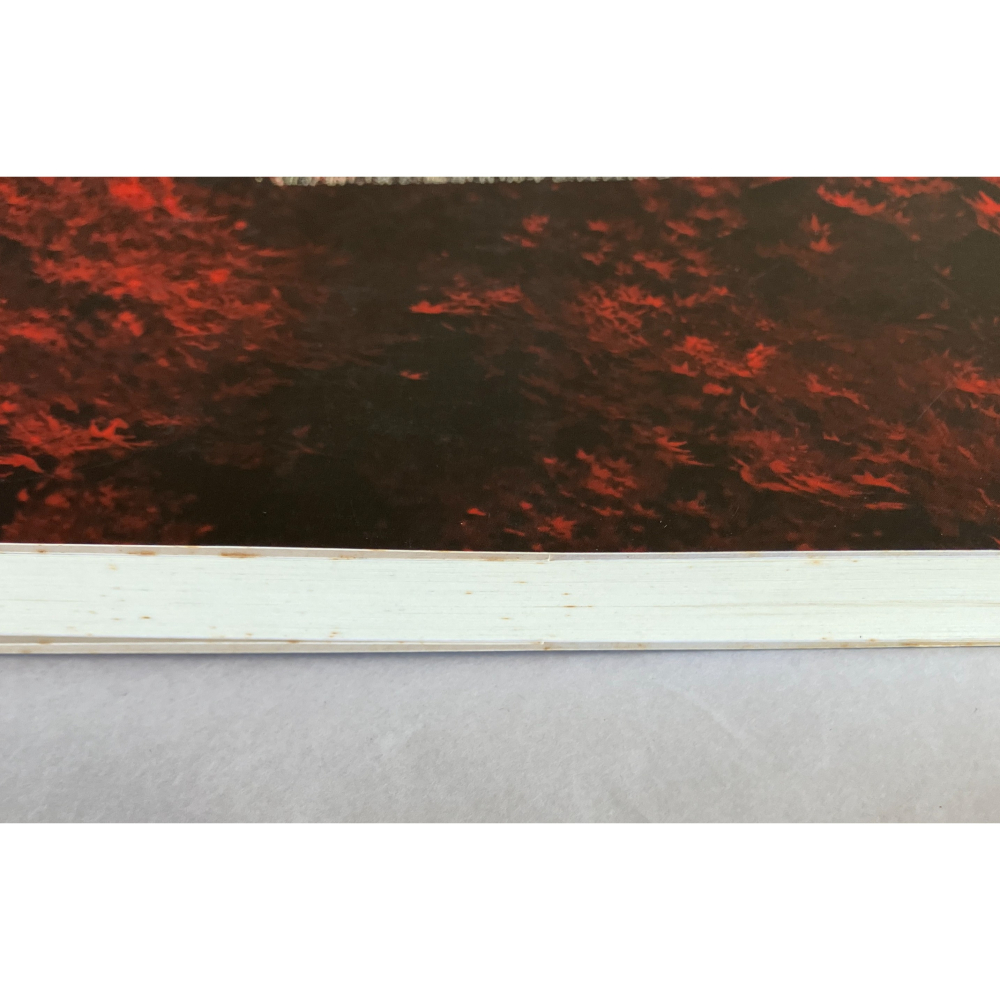 哲美系_《高野聖》半僧半俗的魅惑 泉鏡花 著 陳俊廷 譯 新雨出版社-細節圖3