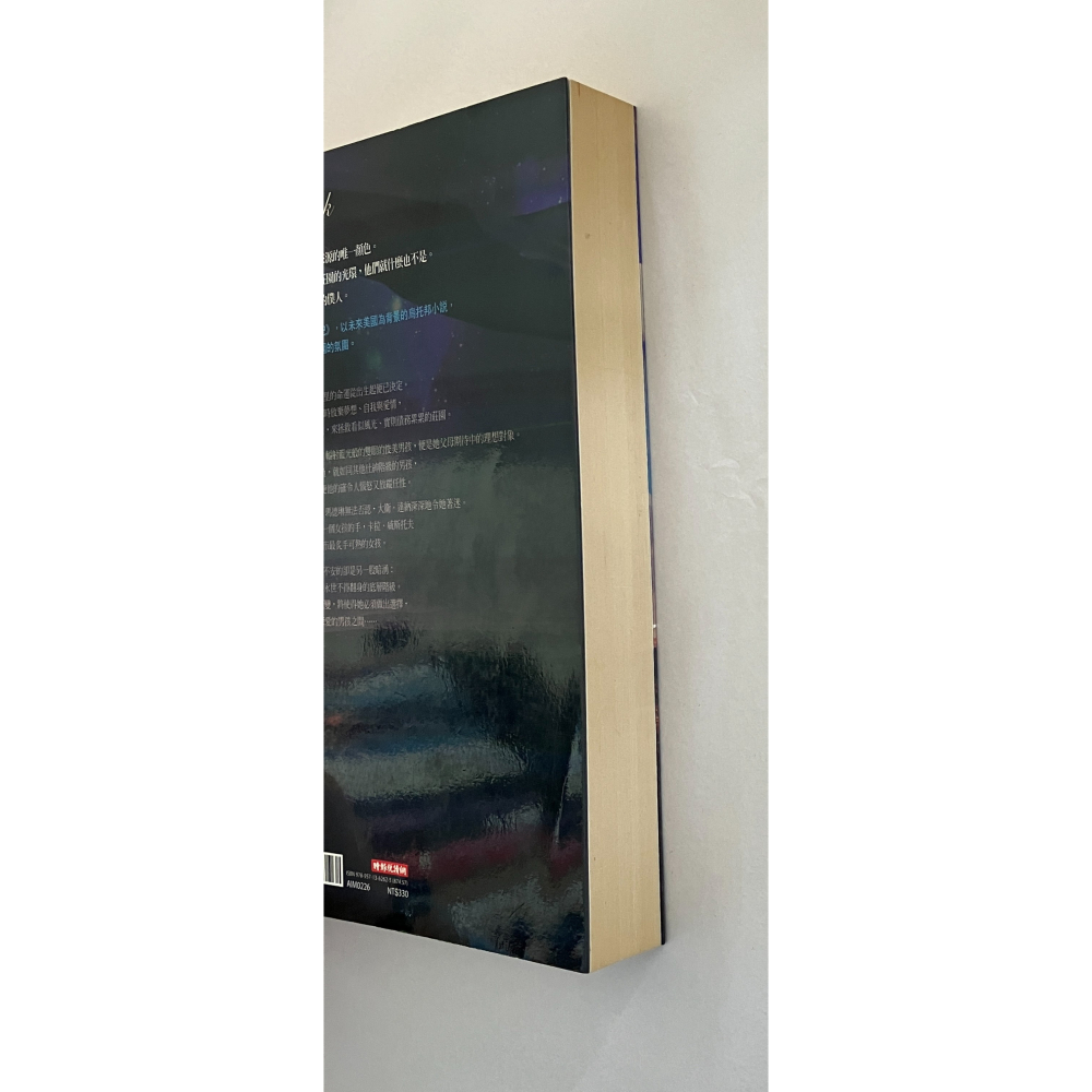 哲美系_《危光之火：藍》貝瑟妮·赫根 著 簡秀如 譯 時報出版 新世紀烏托邦愛情小說-細節圖3