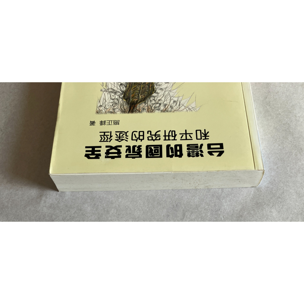 哲美系_《台灣的國家安全 和平研究的途徑》施正鋒 著 台灣國際研究學會-細節圖2