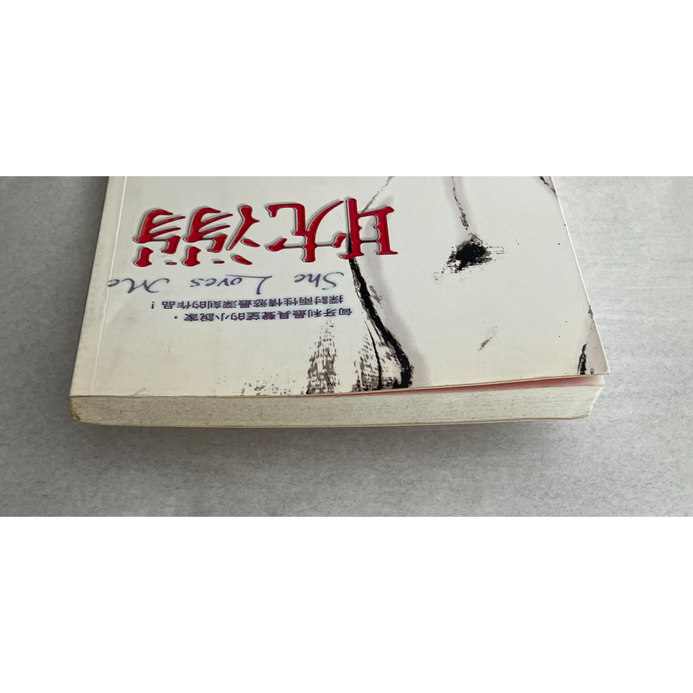 哲美系_《耽溺》彼得·伊斯特海茲 著 孟祥森 譯 圓神出版 匈牙利小說-細節圖2