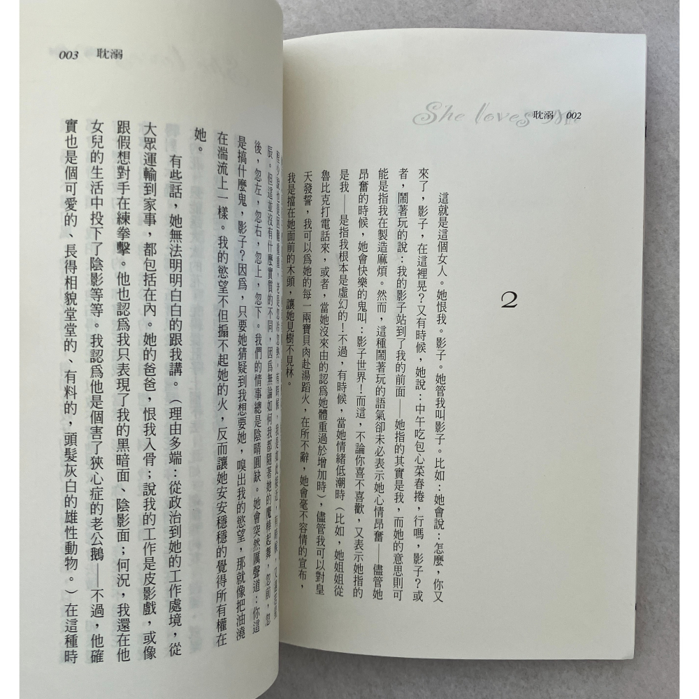 哲美系_《耽溺》彼得·伊斯特海茲 著 孟祥森 譯 圓神出版 匈牙利小說-細節圖4
