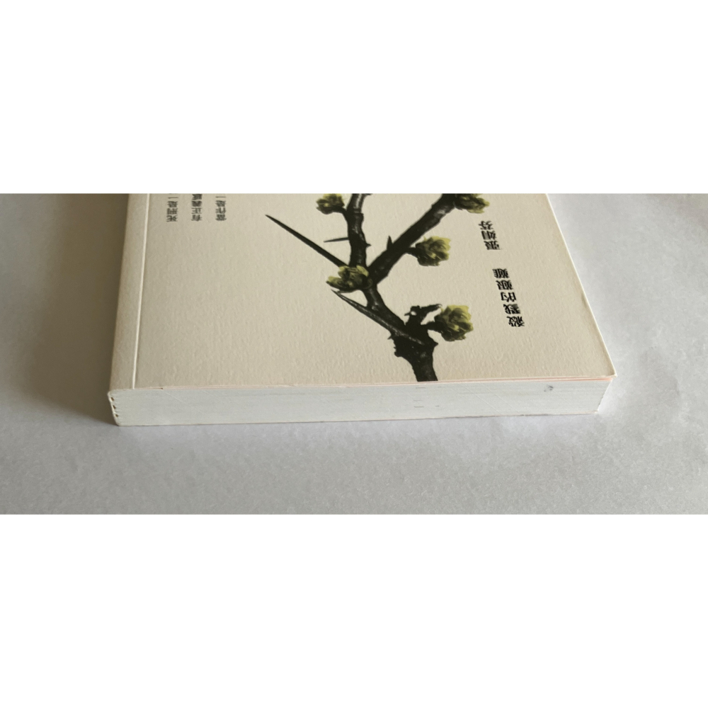 哲美系_《殺戮的艱難》五版 張娟芬 著 行人文化實驗室-細節圖2