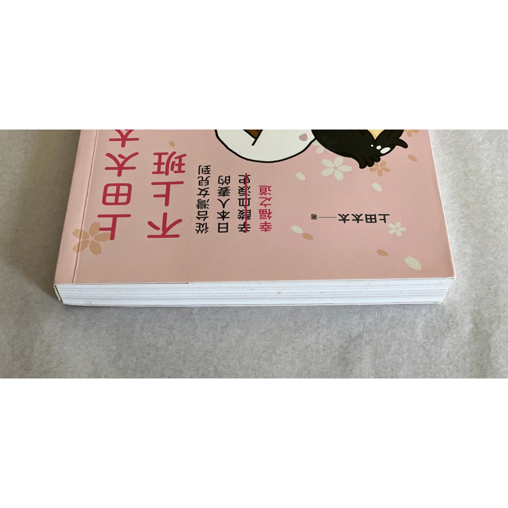 哲美系_《上田太太不上班：從台灣女兒到日本人妻的(辛酸血淚史)幸福之道》上田太太 著 遠流出版-細節圖2