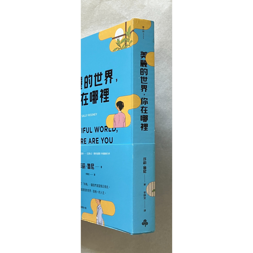哲美系_《美麗的世界，你在哪裡》莎莉‧魯尼 著 李靜宜 譯 時報出版-細節圖2