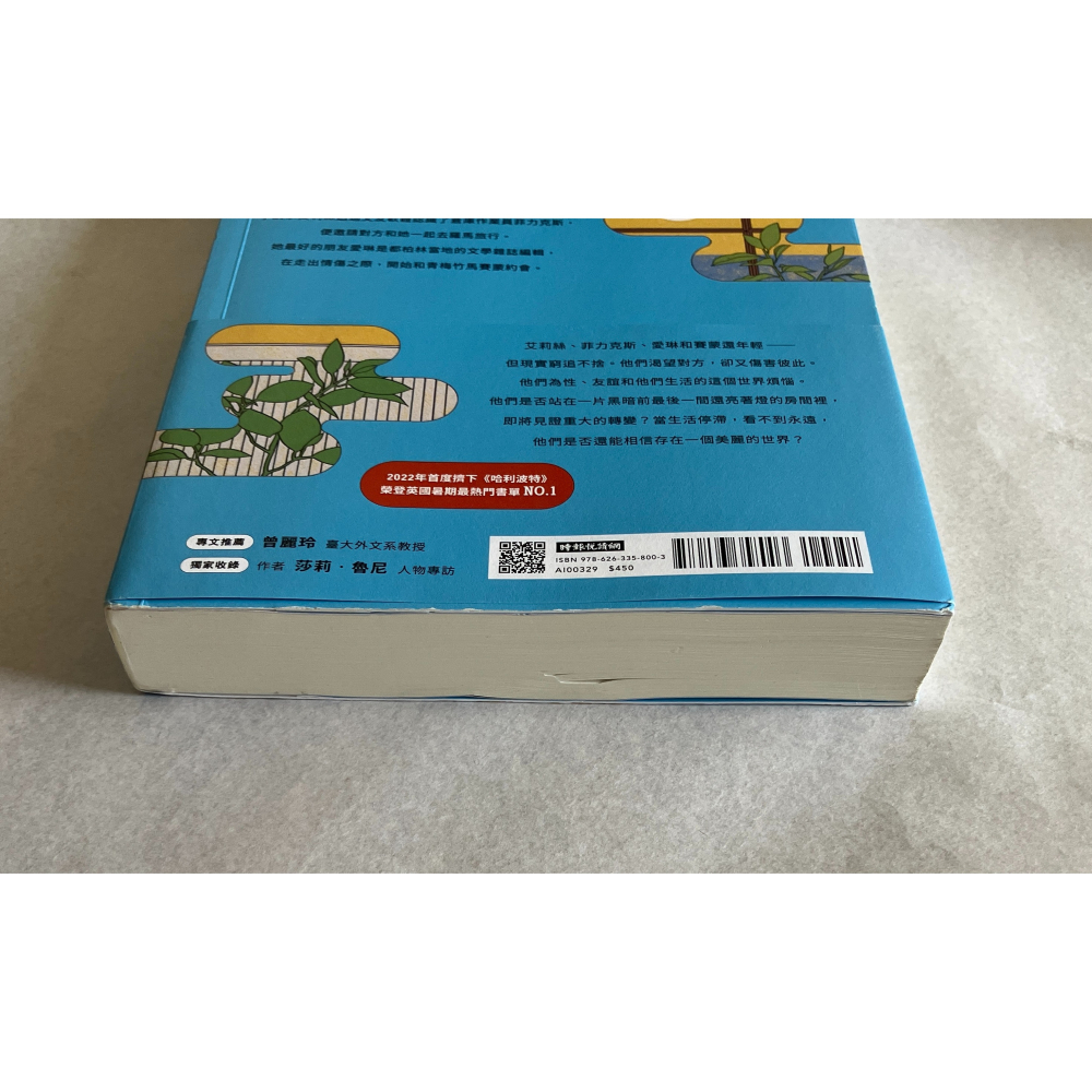 哲美系_《美麗的世界，你在哪裡》莎莉‧魯尼 著 李靜宜 譯 時報出版-細節圖3