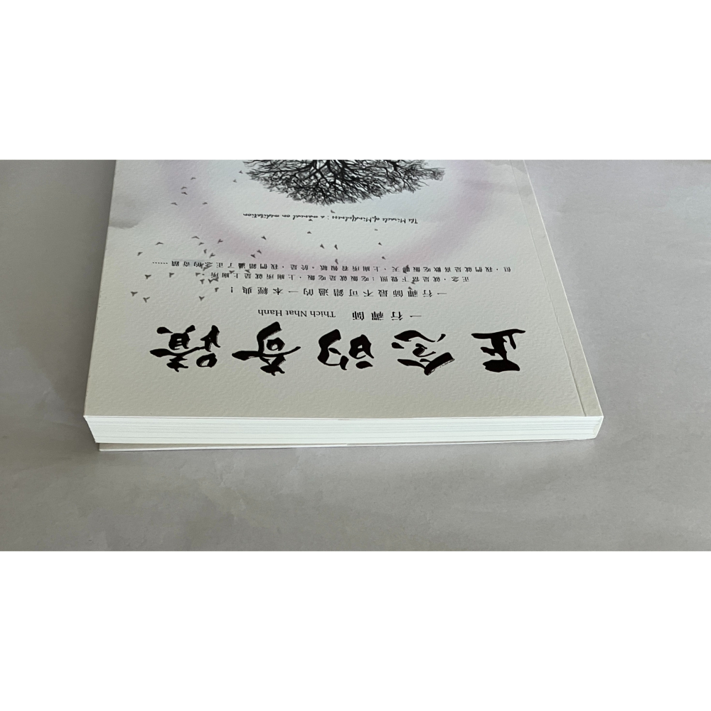 哲美系_《正念的奇蹟 (電影封面紀念版)》一行禪師 著 何定照 譯 橡樹林文化-細節圖2