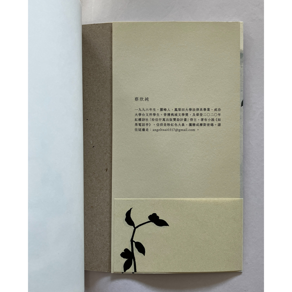 哲美系_《細語》桃城文學獎得主 蔡欣純 著 時報出版-細節圖4