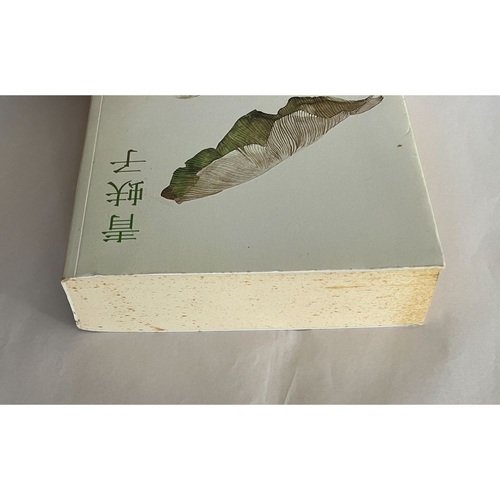 哲美系_《青蚨子》連明偉 著 印刻出版-細節圖3